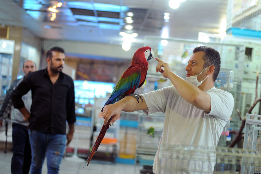 بازار پرنده‌ فروشان تهران