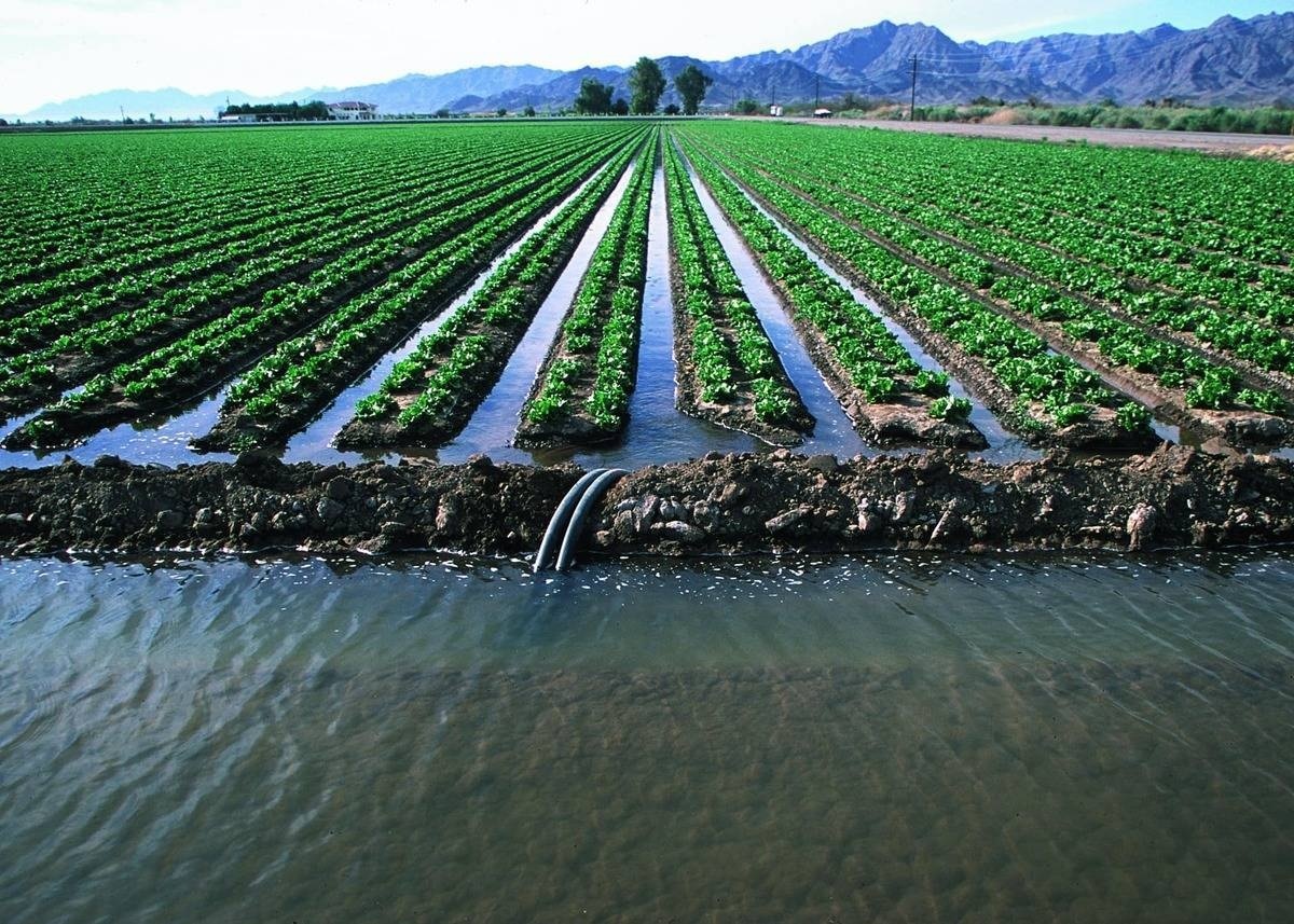 مصرف آب بخش کشاورزی