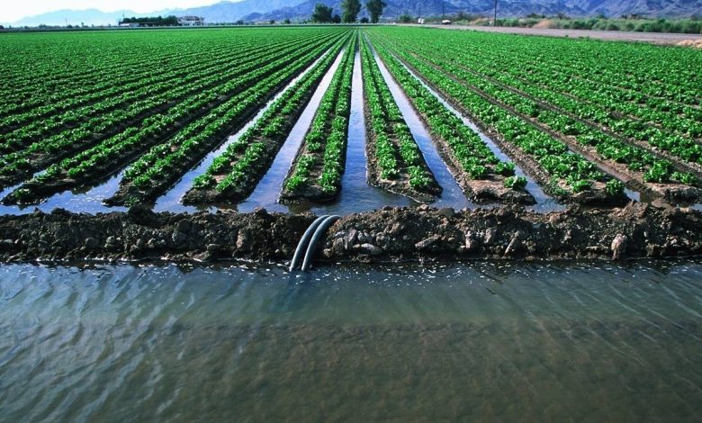 جریمه ۴۰۰ میلیونی کشاورزان به بهانه اضافه برداشت آب
