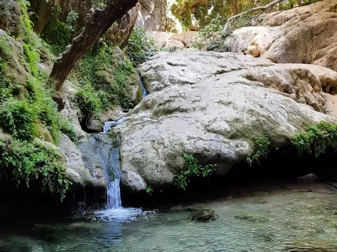 ویژگیهای طبیعی و اقلیمی تنگ بستانک