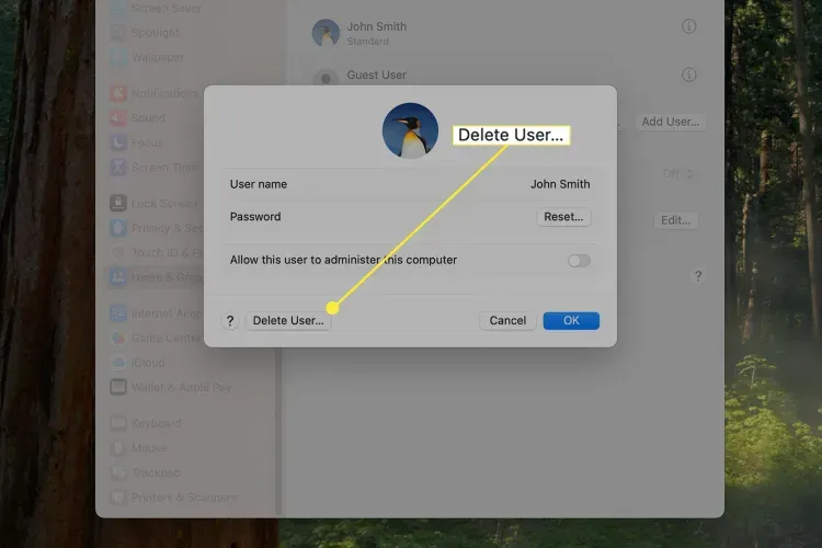 Click Delete User.