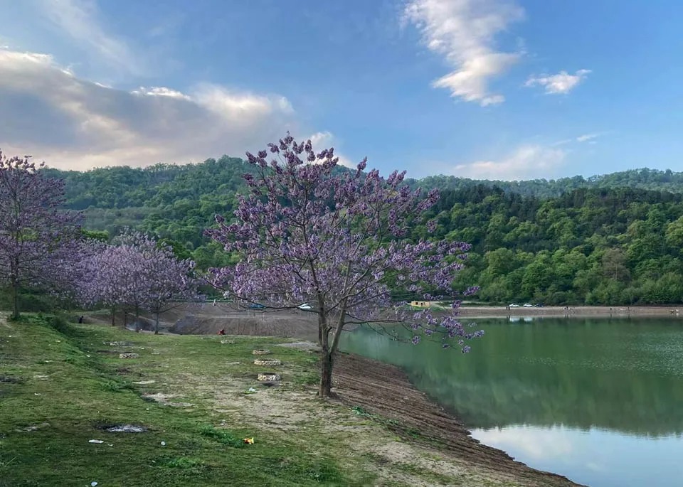 اگر دنبال جایی برای فرار از شلوغی و آرامش در دل طبیعت هستید، دریاچه توشن گرگان مقصدی است که نباید از دست بدهید!