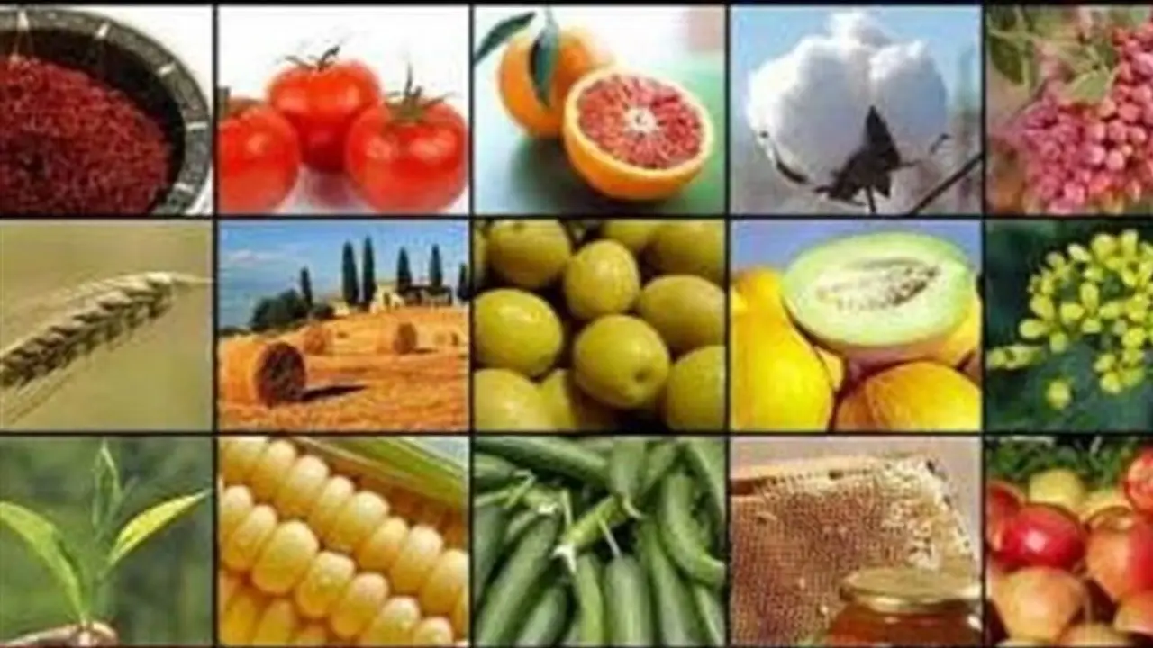 صادرات ۱۵ محصول کشاورزی دوباره کلید خورد