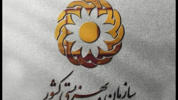 لوگوی سازمان بهزیستی کشوری