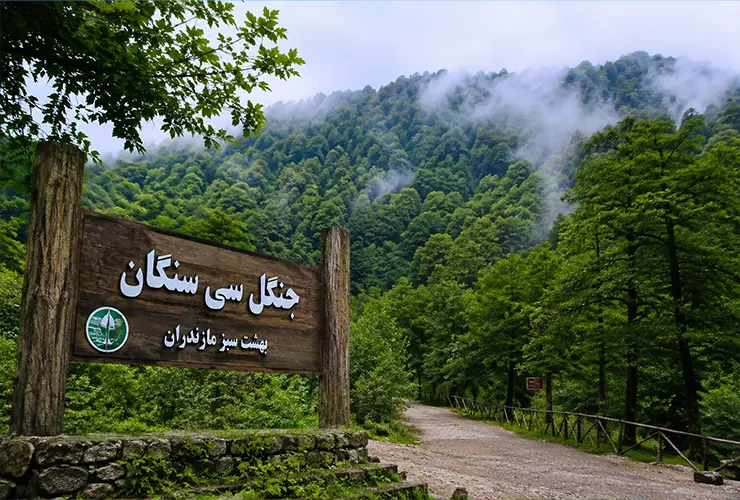 پارک جنگلی سی‌سنگان