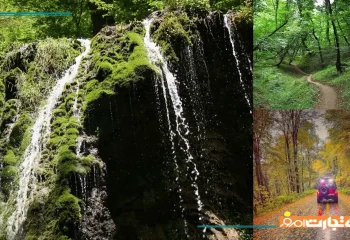 جنگل پاسند کجاست؟ + آدرس، مسیر دسترسی، عکس و بهترین زمان سفر